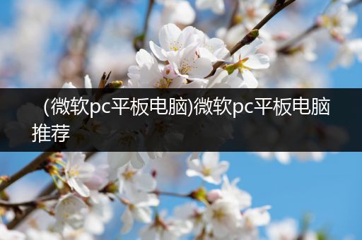 （微软pc平板电脑)微软pc平板电脑推荐