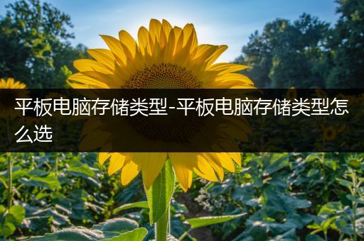 平板电脑存储类型-平板电脑存储类型怎么选