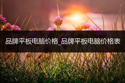 品牌平板电脑价格_品牌平板电脑价格表