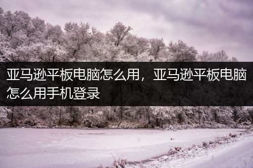 亚马逊平板电脑怎么用，亚马逊平板电脑怎么用手机登录