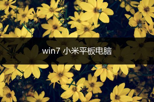 win7 小米平板电脑