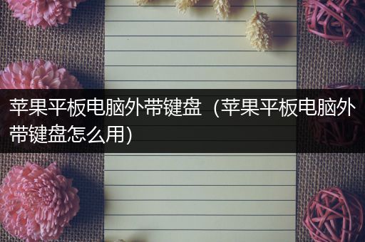 苹果平板电脑外带键盘（苹果平板电脑外带键盘怎么用）