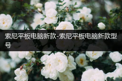 索尼平板电脑新款-索尼平板电脑新款型号