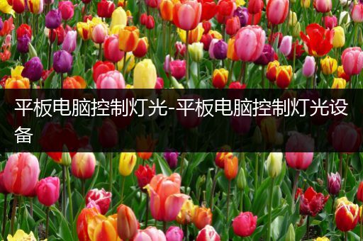 平板电脑控制灯光-平板电脑控制灯光设备