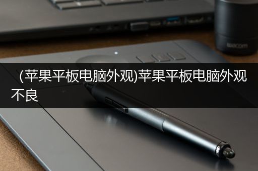 （苹果平板电脑外观)苹果平板电脑外观不良