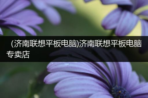 （济南联想平板电脑)济南联想平板电脑专卖店