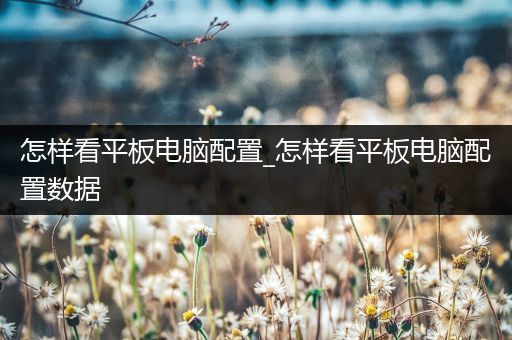 怎样看平板电脑配置_怎样看平板电脑配置数据
