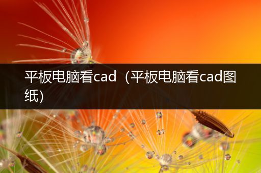 平板电脑看cad（平板电脑看cad图纸）