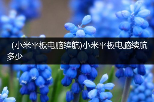 （小米平板电脑续航)小米平板电脑续航多少