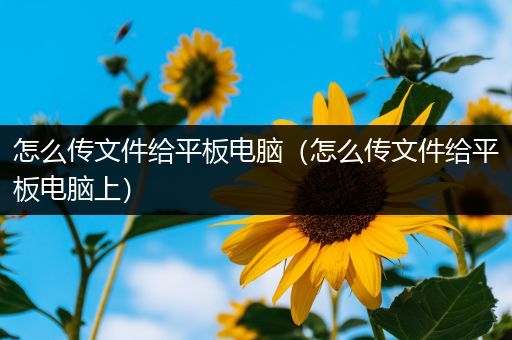 怎么传文件给平板电脑（怎么传文件给平板电脑上）
