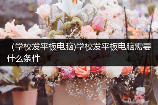 （学校发平板电脑)学校发平板电脑需要什么条件