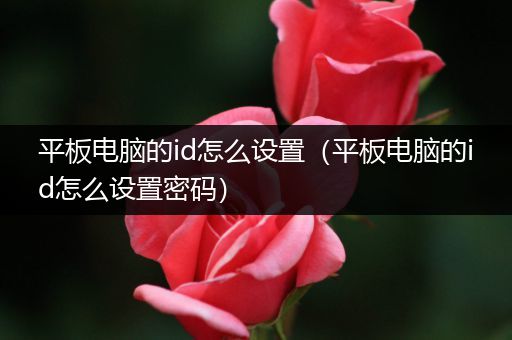平板电脑的id怎么设置（平板电脑的id怎么设置密码）