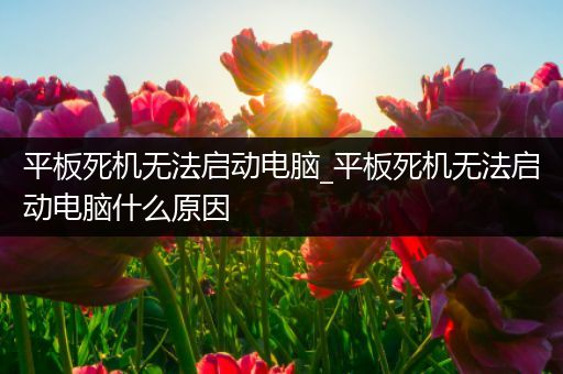 平板死机无法启动电脑_平板死机无法启动电脑什么原因