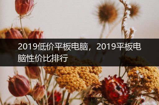 2019低价平板电脑，2019平板电脑性价比排行