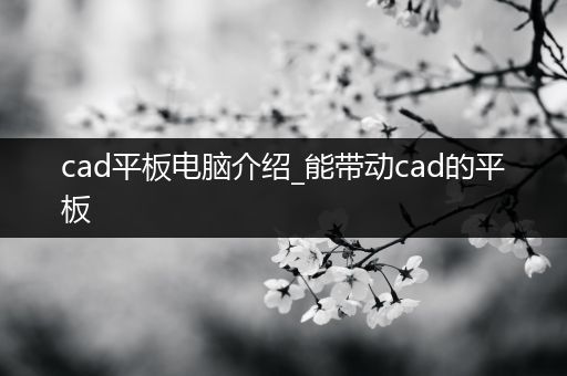 cad平板电脑介绍_能带动cad的平板