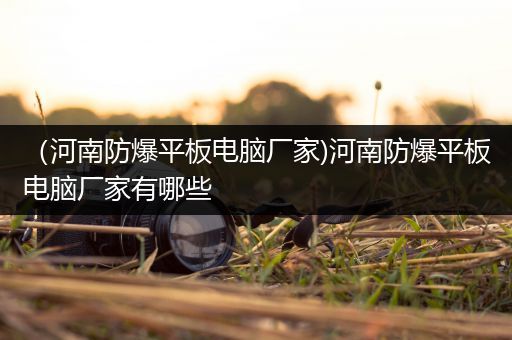 （河南防爆平板电脑厂家)河南防爆平板电脑厂家有哪些