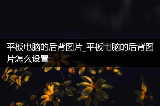 平板电脑的后背图片_平板电脑的后背图片怎么设置
