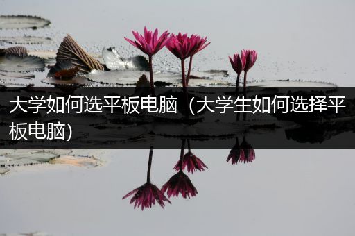 大学如何选平板电脑（大学生如何选择平板电脑）