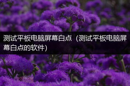 测试平板电脑屏幕白点（测试平板电脑屏幕白点的软件）