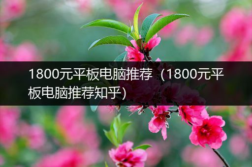 1800元平板电脑推荐（1800元平板电脑推荐知乎）