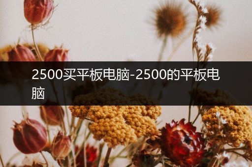 2500买平板电脑-2500的平板电脑