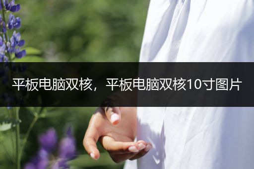 平板电脑双核，平板电脑双核10寸图片