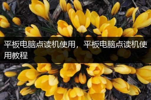 平板电脑点读机使用，平板电脑点读机使用教程