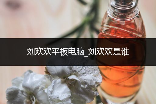 刘欢欢平板电脑_刘欢欢是谁