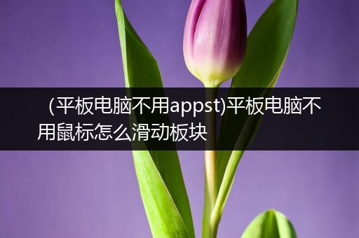 （平板电脑不用appst)平板电脑不用鼠标怎么滑动板块