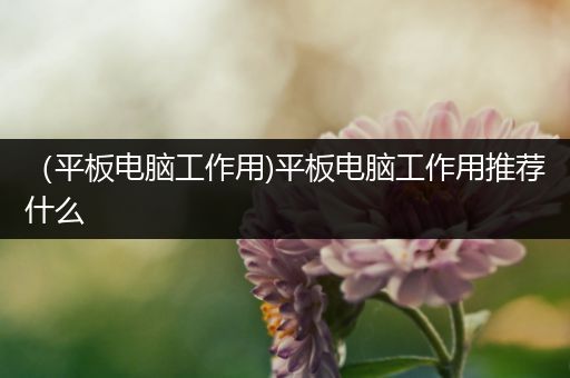 （平板电脑工作用)平板电脑工作用推荐什么