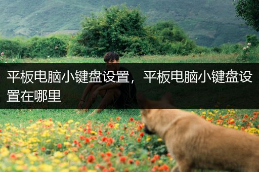 平板电脑小键盘设置，平板电脑小键盘设置在哪里