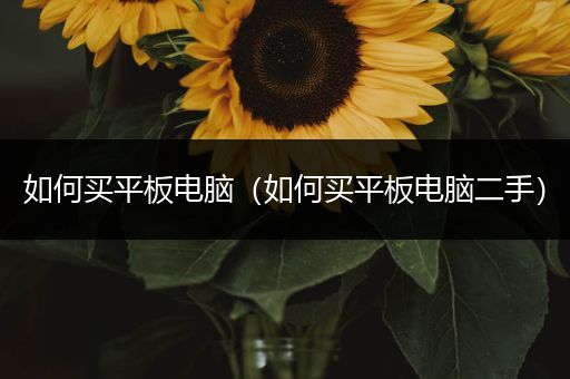 如何买平板电脑（如何买平板电脑二手）