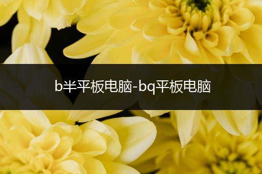 b半平板电脑-bq平板电脑