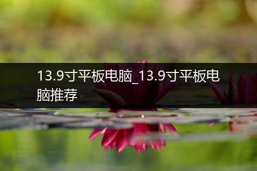 13.9寸平板电脑_13.9寸平板电脑推荐