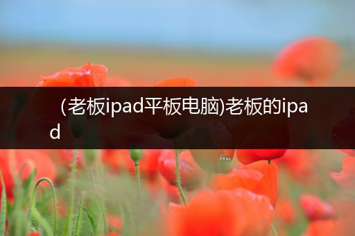 （老板ipad平板电脑)老板的ipad