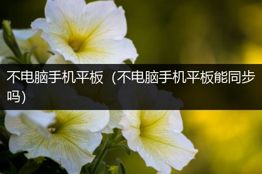 不电脑手机平板（不电脑手机平板能同步吗）