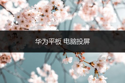 华为平板 电脑投屏