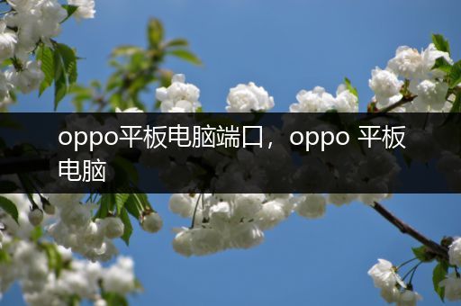 oppo平板电脑端口，oppo 平板电脑