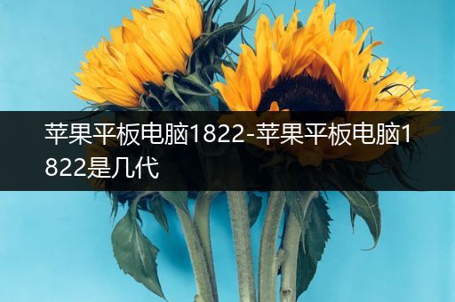 苹果平板电脑1822-苹果平板电脑1822是几代