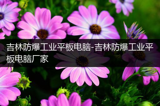 吉林防爆工业平板电脑-吉林防爆工业平板电脑厂家