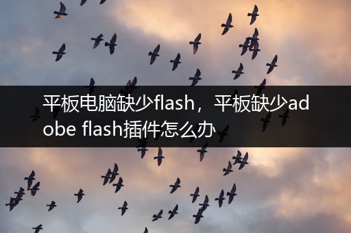 平板电脑缺少flash，平板缺少adobe flash插件怎么办