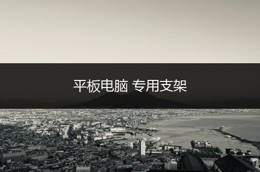 平板电脑 专用支架