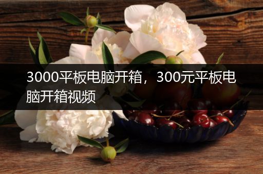 3000平板电脑开箱，300元平板电脑开箱视频