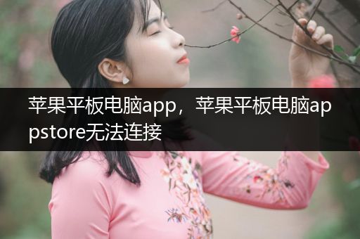 苹果平板电脑app，苹果平板电脑appstore无法连接