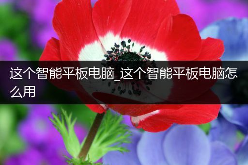 这个智能平板电脑_这个智能平板电脑怎么用