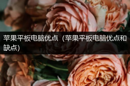 苹果平板电脑优点（苹果平板电脑优点和缺点）