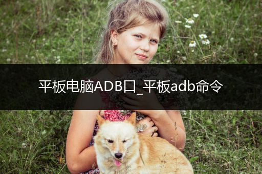 平板电脑ADB口_平板adb命令