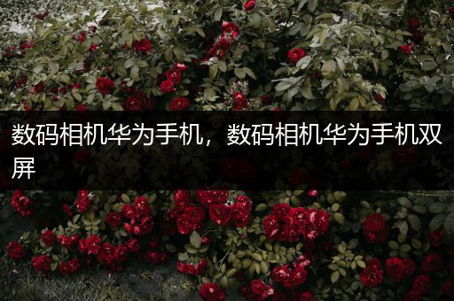 数码相机华为手机，数码相机华为手机双屏