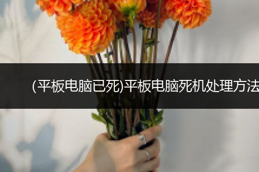 （平板电脑已死)平板电脑死机处理方法