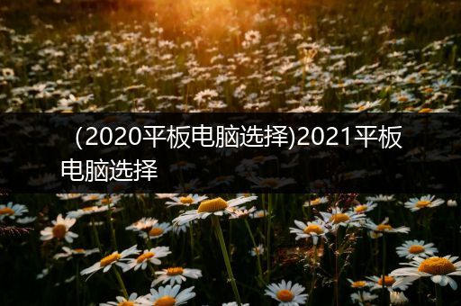 （2020平板电脑选择)2021平板电脑选择